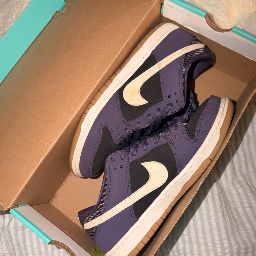 NIKE DUNK LOW PRO SB DARK RAISIN & BLACK